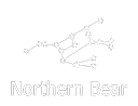 Northern Bear