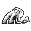 Mammoth Energy Services